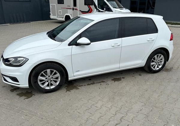 Volkswagen Golf cena 63900 przebieg: 58523, rok produkcji 2019 z Rzepin małe 29